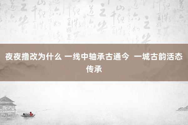 夜夜撸改为什么 一线中轴承古通今  一城古韵活态传承