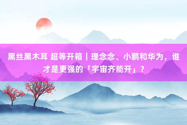 黑丝黑木耳 超等开箱｜理念念、小鹏和华为，谁才是更强的「宇宙齐能开」？