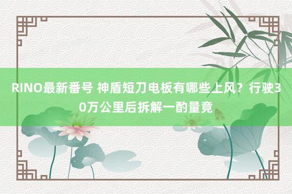 RINO最新番号 神盾短刀电板有哪些上风？行驶30万公里后拆解一酌量竟