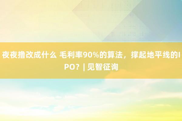 夜夜撸改成什么 毛利率90%的算法，撑起地平线的IPO？| 见智征询