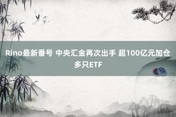 Rino最新番号 中央汇金再次出手 超100亿元加仓多只ETF