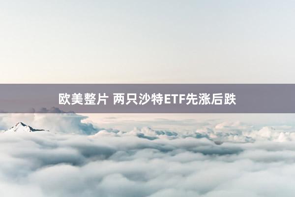 欧美整片 两只沙特ETF先涨后跌