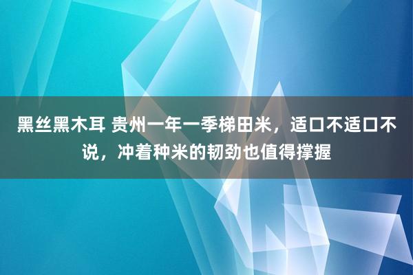 黑丝黑木耳 贵州一年一季梯田米，适口不适口不说，冲着种米的韧劲也值得撑握