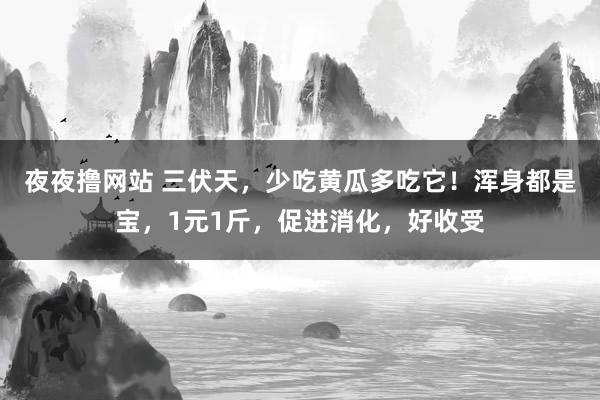 夜夜撸网站 三伏天，少吃黄瓜多吃它！浑身都是宝，1元1斤，促进消化，好收受