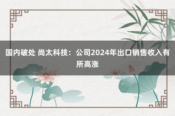 国内破处 尚太科技：公司2024年出口销售收入有所高涨