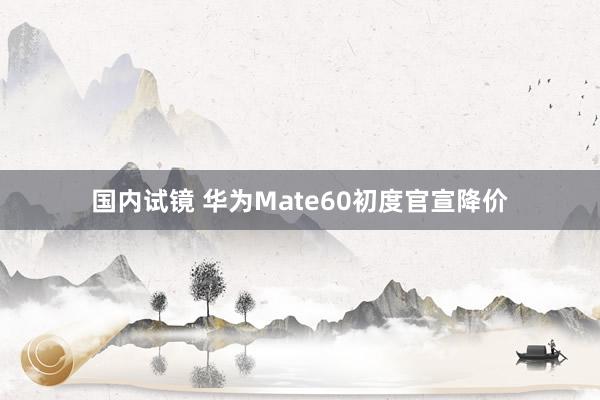 国内试镜 华为Mate60初度官宣降价