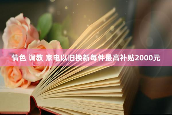 情色 调教 家电以旧换新每件最高补贴2000元