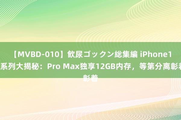 【MVBD-010】飲尿ゴックン総集編 iPhone17系列大揭秘：Pro Max独享12GB内存，等第分离彰着