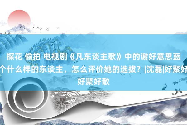 探花 偷拍 电视剧《凡东谈主歌》中的谢好意思蓝是个什么样的东谈主，怎么评价她的选拔？|沈磊|好聚好散